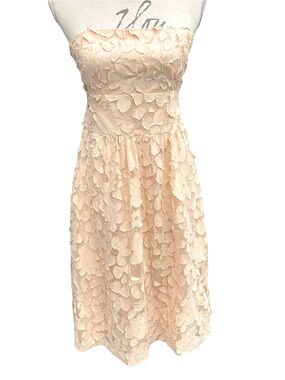 Sweet Chemise Champagne Cotton Strapless Floral Applique Midi Dress (8)